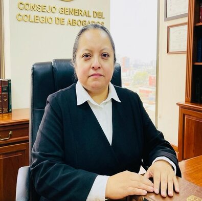 CONSEJO GENERAL DEL COLEGIO DE ABOGADOS.